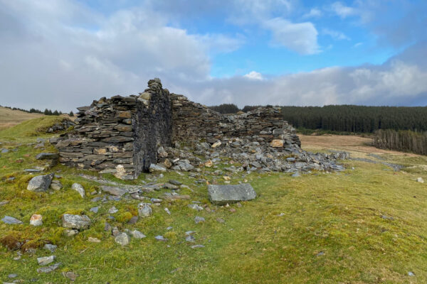 Esgair Hir1