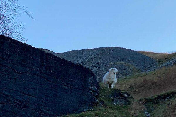 Gwaith Bwlch-glas2